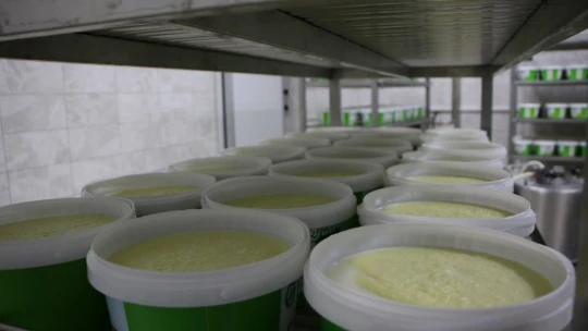 Genç girişimci, devletin desteğiyle 14 milyonluk yatırım yaptı