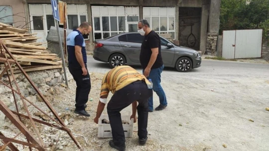 Gözleri açılmamış yavru köpekler, kasa ile ölüme terk edildi