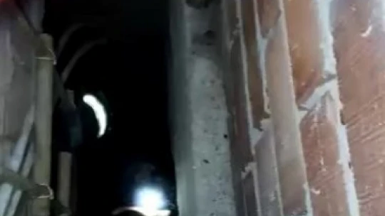 Havalandırma boşluğuna düşen kediyi itfaiye kurtardı
