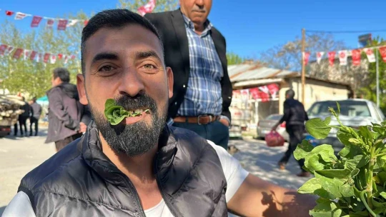 İbn-i Sina'nın önerisi 'kuzu kulağı' her derde deva