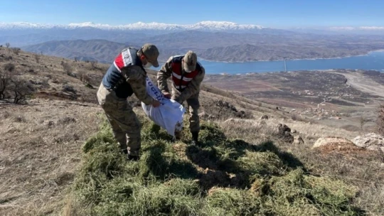 Jandarma yaban keçilerine saman, balıklara drone ile ekmek bıraktı