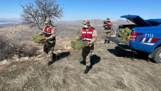 Jandarma yaban keçilerine saman, balıklara drone ile ekmek bıraktı