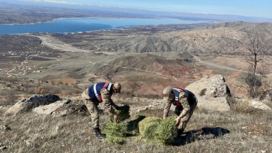 Jandarma yaban keçilerine saman, balıklara drone ile ekmek bıraktı