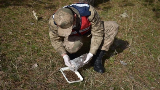 Jandarma yaban keçilerine saman, balıklara drone ile ekmek bıraktı