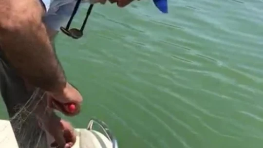 Kaçak avda kullanılan 2 bin metre ağ ele geçirildi, balıklar tekrar suya salındı