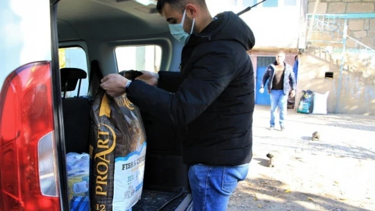 Kış geldi 850 hanelik köy 50'ye düştü, sokak hayvanları muhtara kaldı