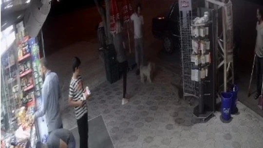 Köpeklere kedi saldırdı, o anlar güvenlik kamerasına yansıdı