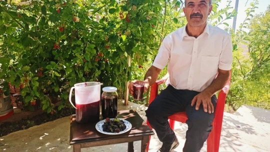 Köylülerin böğürtlen reçeli mesaisi