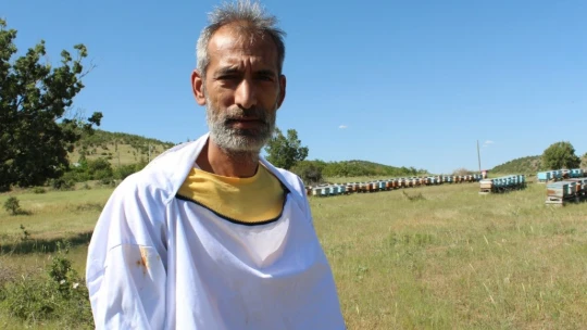 Kuraklık ve toz taşınımı arıcıları vurdu, son 10 yılın en kötü sezonu
