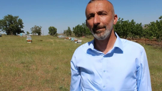 Kuraklık ve toz taşınımı arıcıları vurdu, son 10 yılın en kötü sezonu