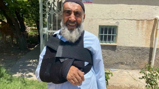 Kurban Bayramının ilk 'kaçağı' Elazığ'dan: Kurbanlık inek sahibinin omurgasını kırıp kaçtı