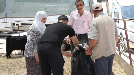 Kurban Pazarında 3'üncü gün yoğunluğu