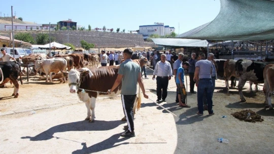 Kurban pazarında son gün yoğunluğu