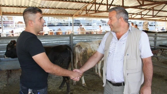 Kurban pazarında son gün yoğunluğu