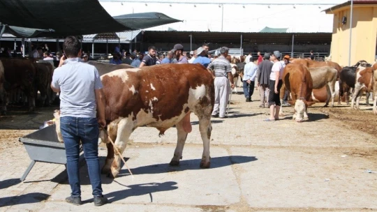 Kurban pazarında son gün yoğunluğu