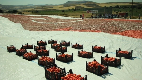 Kurutmalık domateslerle hem Elazığ haritası, hemde ay-yıldız oluşturuldu
