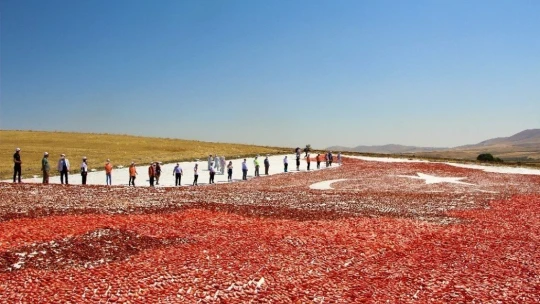 Kurutmalık domateslerle hem Elazığ haritası, hemde ay-yıldız oluşturuldu