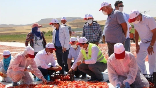 Kurutmalık domateslerle hem Elazığ haritası, hemde ay-yıldız oluşturuldu