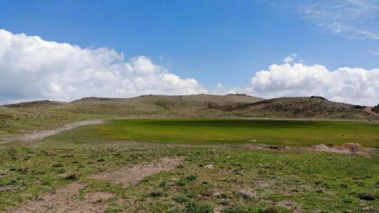 Elazığ'da Kuruyan Bervi Gölü Yağışlarla Yeniden Canlandı