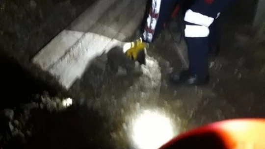 Karakoçan'da Kuyuya Düşen Köpek Ve Yavrusunu İtfaiye Ekipleri Kurtardı