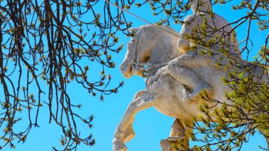 Medeniyetler beşiği 4 bin yıllık Harput'ta ilkbahar güzelliği