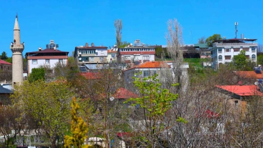 Medeniyetler beşiği 4 bin yıllık Harput'ta ilkbahar güzelliği