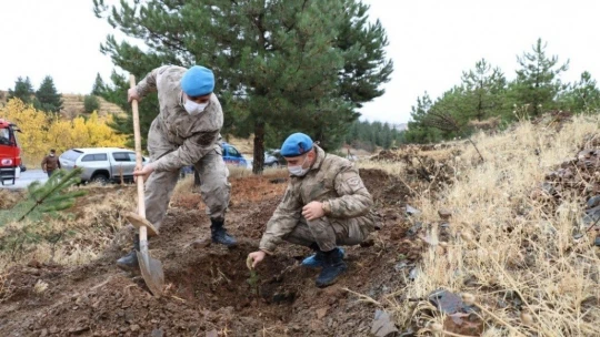 Mehmetçik, şehit ve depremde hayatını kaybedenler için bin fidan dikti