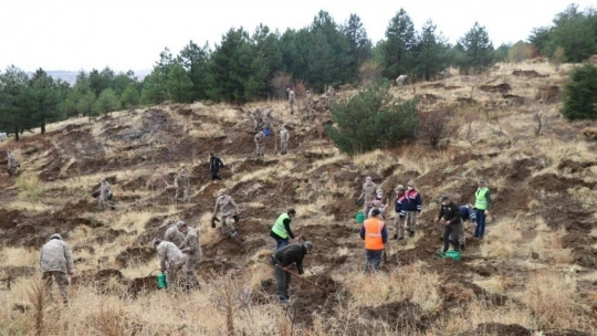 Mehmetçik, şehit ve depremde hayatını kaybedenler için bin fidan dikti