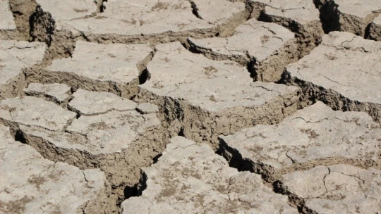 Murat Nehri'nde sular çekildi, tarım başladı