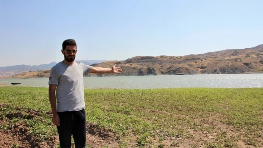 Murat Nehri'nde sular çekildi, tarım başladı