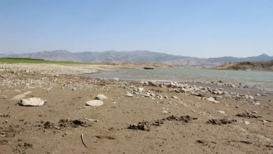 Murat Nehri'nde sular çekildi, tarım başladı