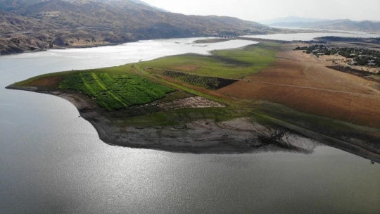Murat Nehri'nde sular çekildi, tarım başladı