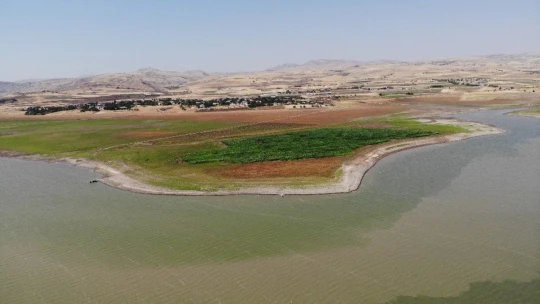 Murat Nehri'nde sular çekildi, tarım başladı