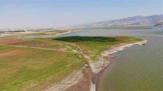 Murat Nehri'nde sular çekildi, tarım başladı