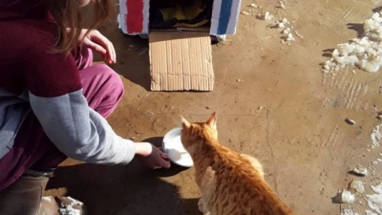 Öğrenciler 'Şimdi Sıra Sende' projesiyle etkinlikler yaptı