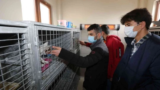 Öğrenciler minik dostları ile bir araya geldi