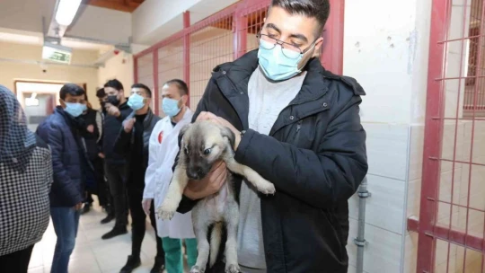 Öğrenciler minik dostları ile bir araya geldi