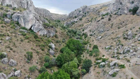 Ölbe vadisi ve Deve Mağarası turizme kazandırılmayı bekliyor