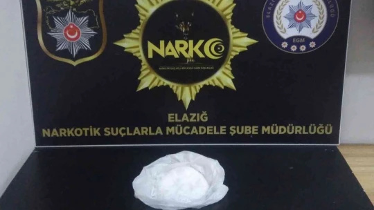 Önce ekipler, ardından dedektör köpeği 'Alex' uyuşturucu tacirlerine geçit vermedi