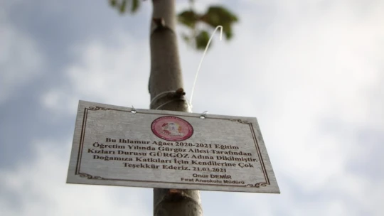 Ormancı babadan örnek uygulama