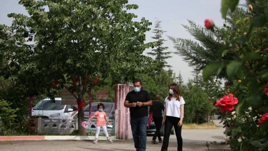 Ormancı babadan örnek uygulama