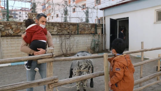 Otizmli çocuklar, duyu odaları ve atla terapiyle hayata hazırlanıyor