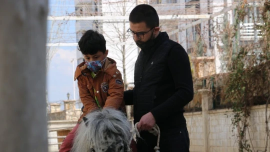 Otizmli çocuklar, duyu odaları ve atla terapiyle hayata hazırlanıyor