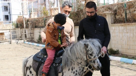 Otizmli çocuklar, duyu odaları ve atla terapiyle hayata hazırlanıyor