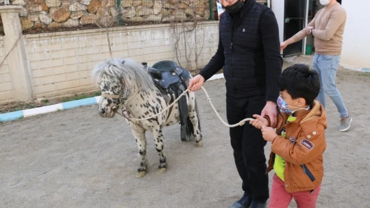 Otizmli çocuklar, duyu odaları ve atla terapiyle hayata hazırlanıyor