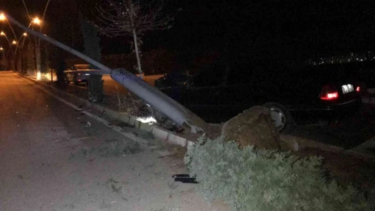 Otomobil aydınlatma direğini ve ağacı devirdi: 1 yaralı