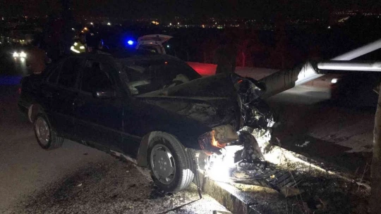 Otomobil aydınlatma direğini ve ağacı devirdi: 1 yaralı