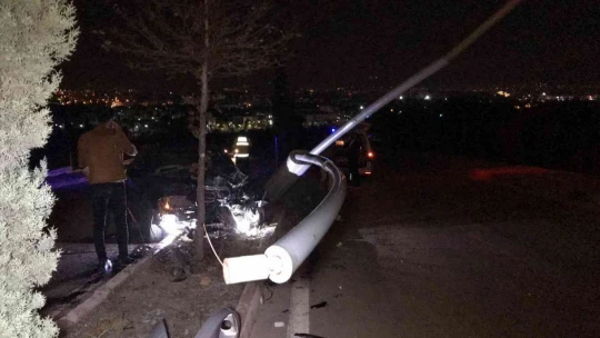 Otomobil aydınlatma direğini ve ağacı devirdi: 1 yaralı