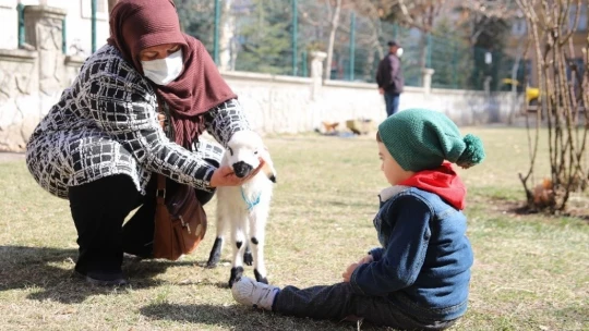 Sahiplendiği kuzu, hem evinin neşesi, hem de terapisi oldu
