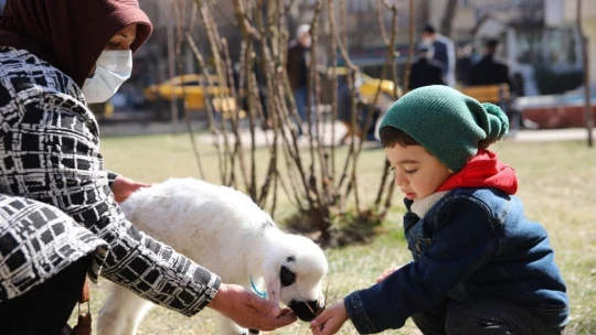 Sahiplendiği kuzu, hem evinin neşesi, hem de terapisi oldu